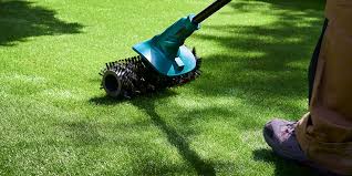 artificial grass maintenance