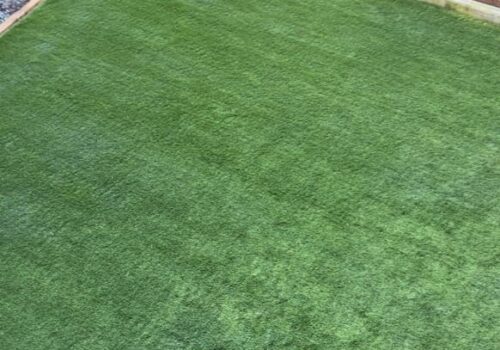 Chilliwack Evergreen Artificial Grass